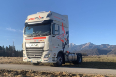 Stele-Trans-international-transport-14