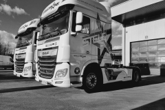 Stele-Trans-international-transport-2