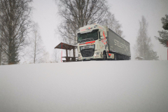 Stele-Trans-international-transport-23