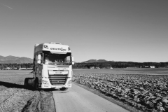 Stele-Trans-international-transport-8